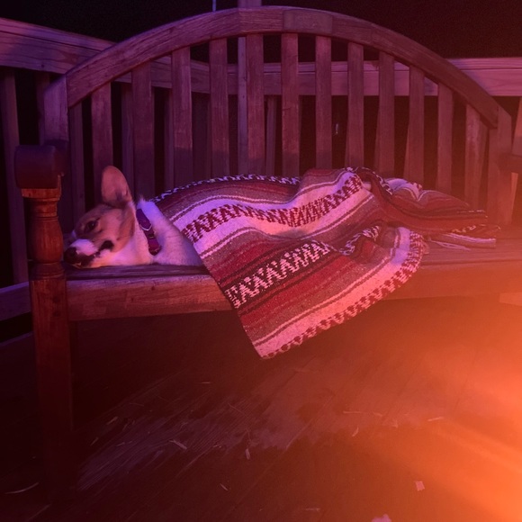 Meet your Posher, Kenzie - Picture 4 of 9